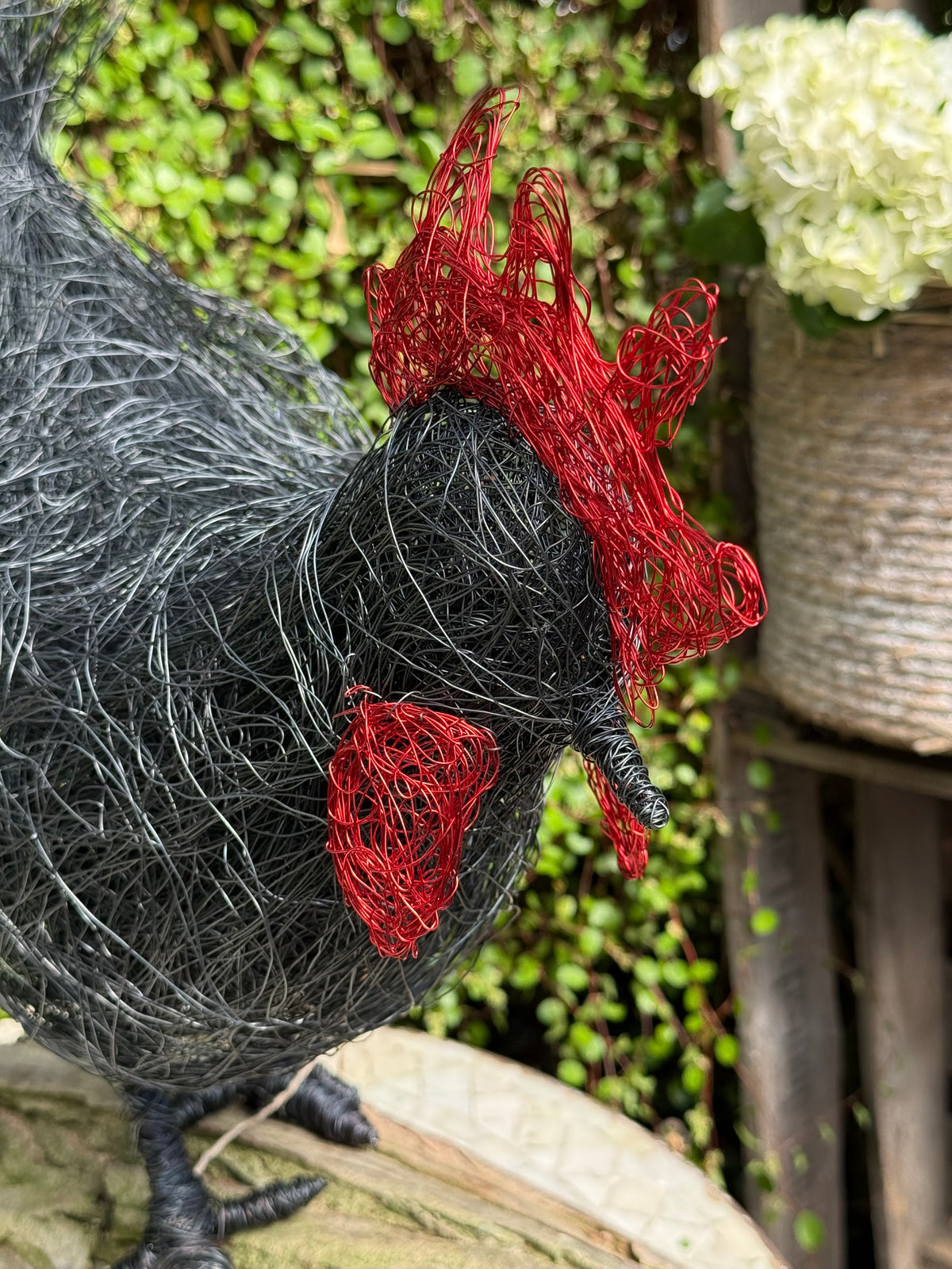 Huhn auf Baumstamm Nr. 1