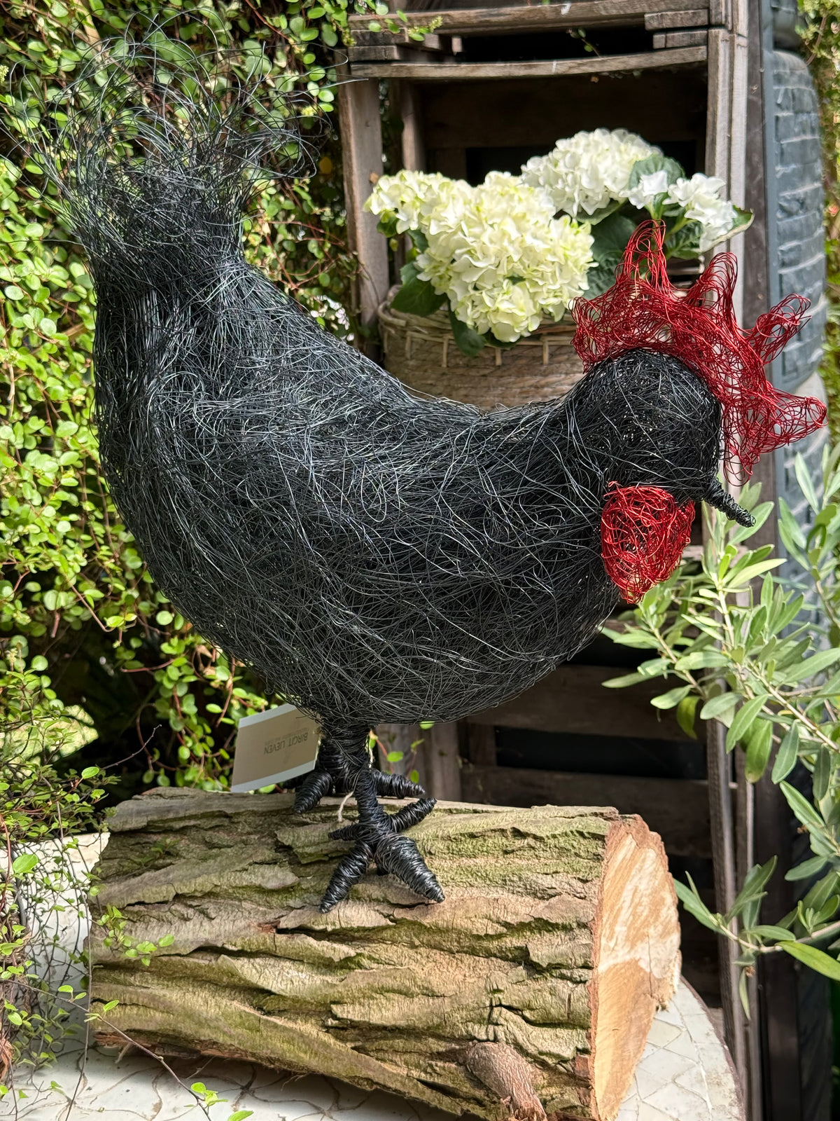Huhn auf Baumstamm Nr. 1